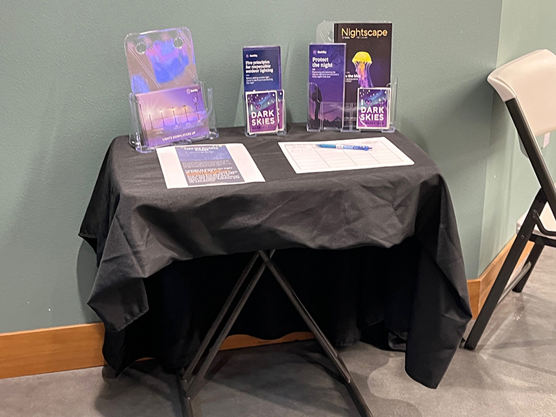 Celebrating National Hummingbird Day