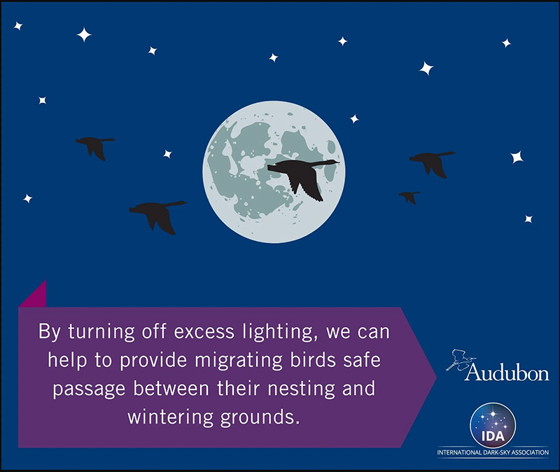 Washington Audubon Lights Out Resolution