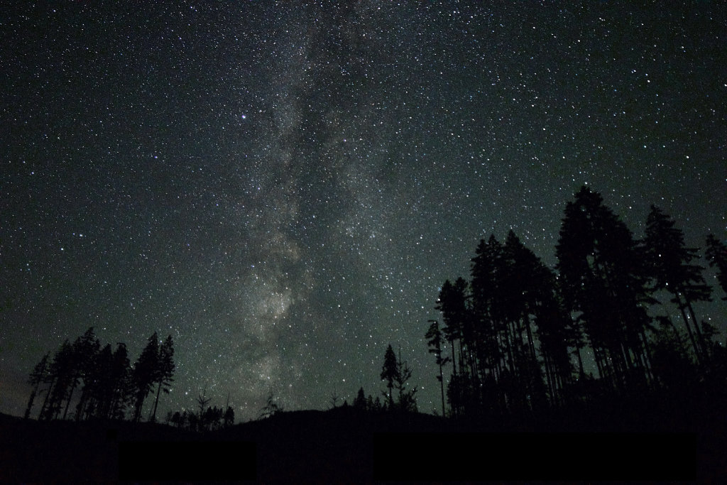 Harvard Magazine: We’re Thinking About Darkness All Wrong